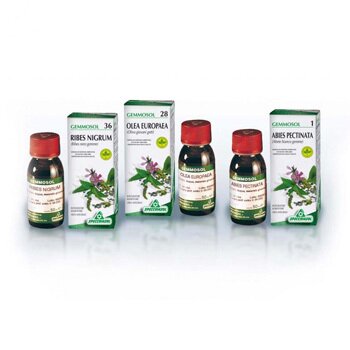 Gemmosol 24 fico 50ml