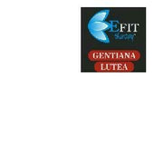 Gentiana lutea estratto fluido 30 ml
