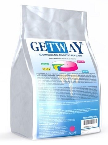 Getway polvere 450 g