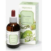 Ginkgo biloba foglie ei 50ml