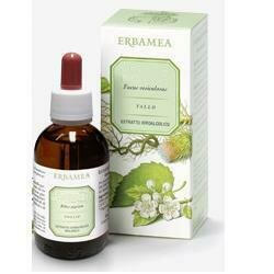 Ginkgo biloba foglie ei 50ml