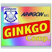 Ginkgo composto 60 capsule 500 mg