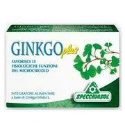 Ginkgo plus 30 capsule