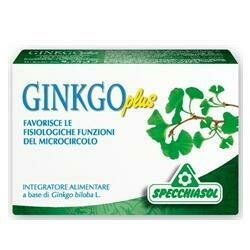 Ginkgo plus 30 capsule