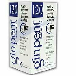 Ginpent 120 capsule 400mg