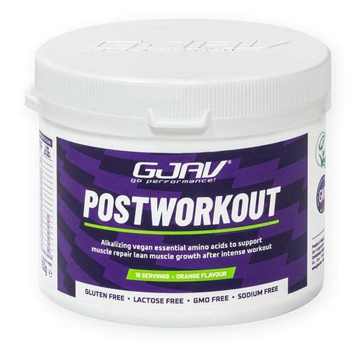 Gjav postworkout arancia 560g
