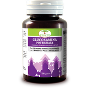 Glucosamina potenziata polvere 75 g