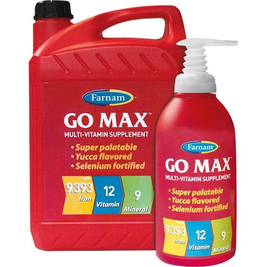Go max 946ml