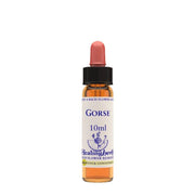 Gorse essenza 10ml