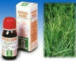 Gramigna 37 50ml tintura madre
