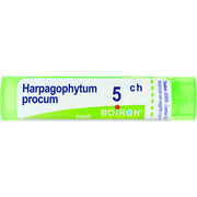 Harpagophytum procum 5ch gr