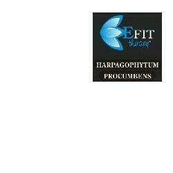 Harpagophytum procumbens estratto fluido 30 ml