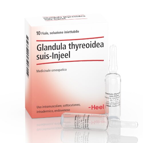 Heel glandula thyroidea suis injeel 10 fiale