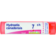 Hydrastis can boi 7ch 80gr