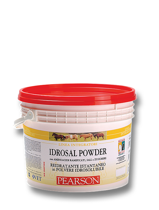 Idrosal powder elett polvere 3kg
