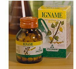 Igname erbe integratore ciclo 60 tavolette