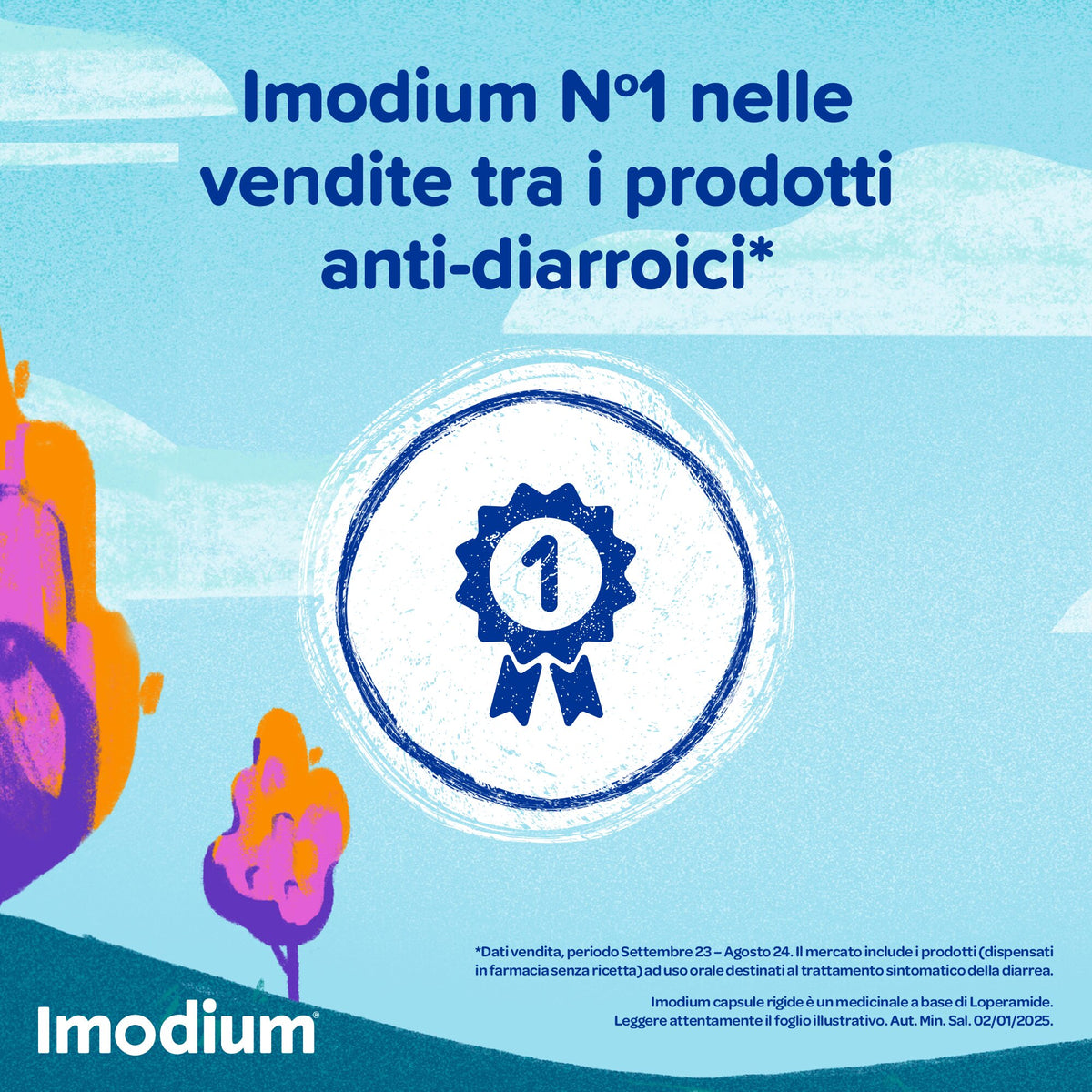 Imodium 12 capsule 2mg