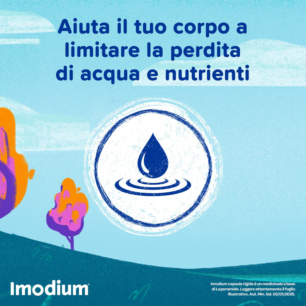 Imodium 12 capsule 2mg