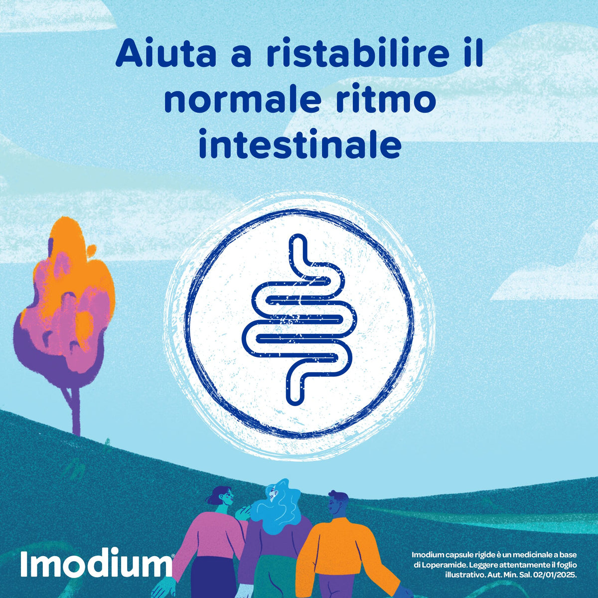 Imodium 12 capsule 2mg