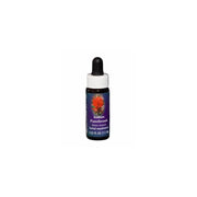 Indian paintbrush 7,4ml calf