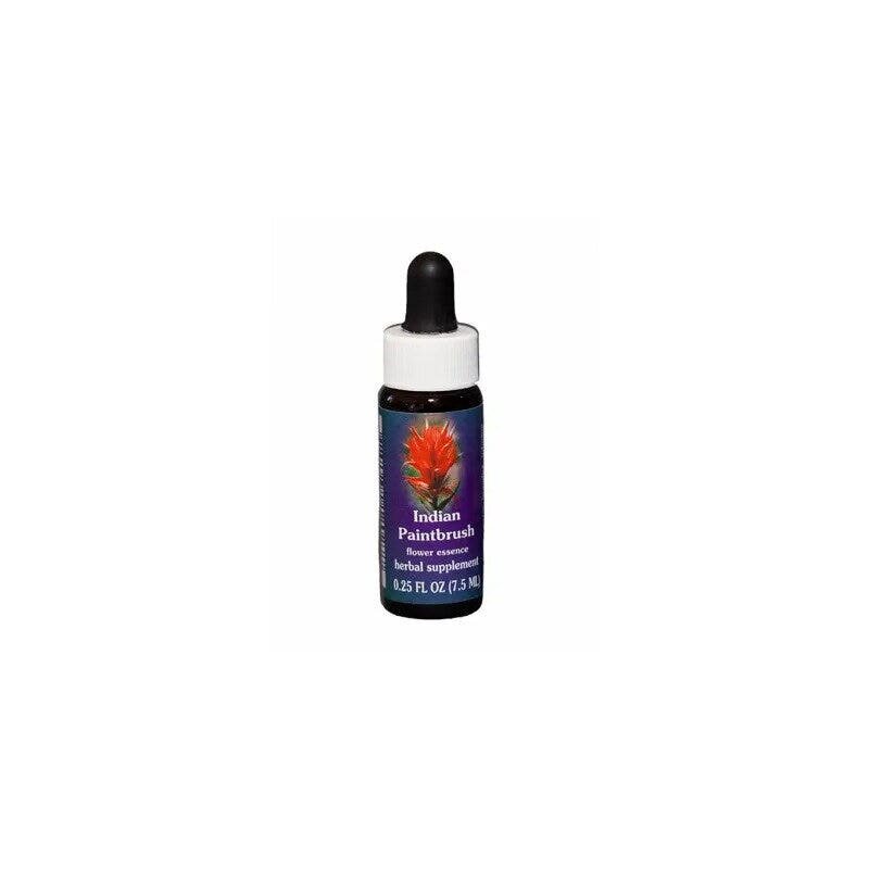 Indian paintbrush 7,4ml calf