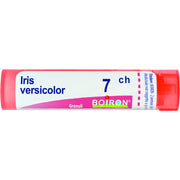 Iris versic boi 7ch 80gr 4g