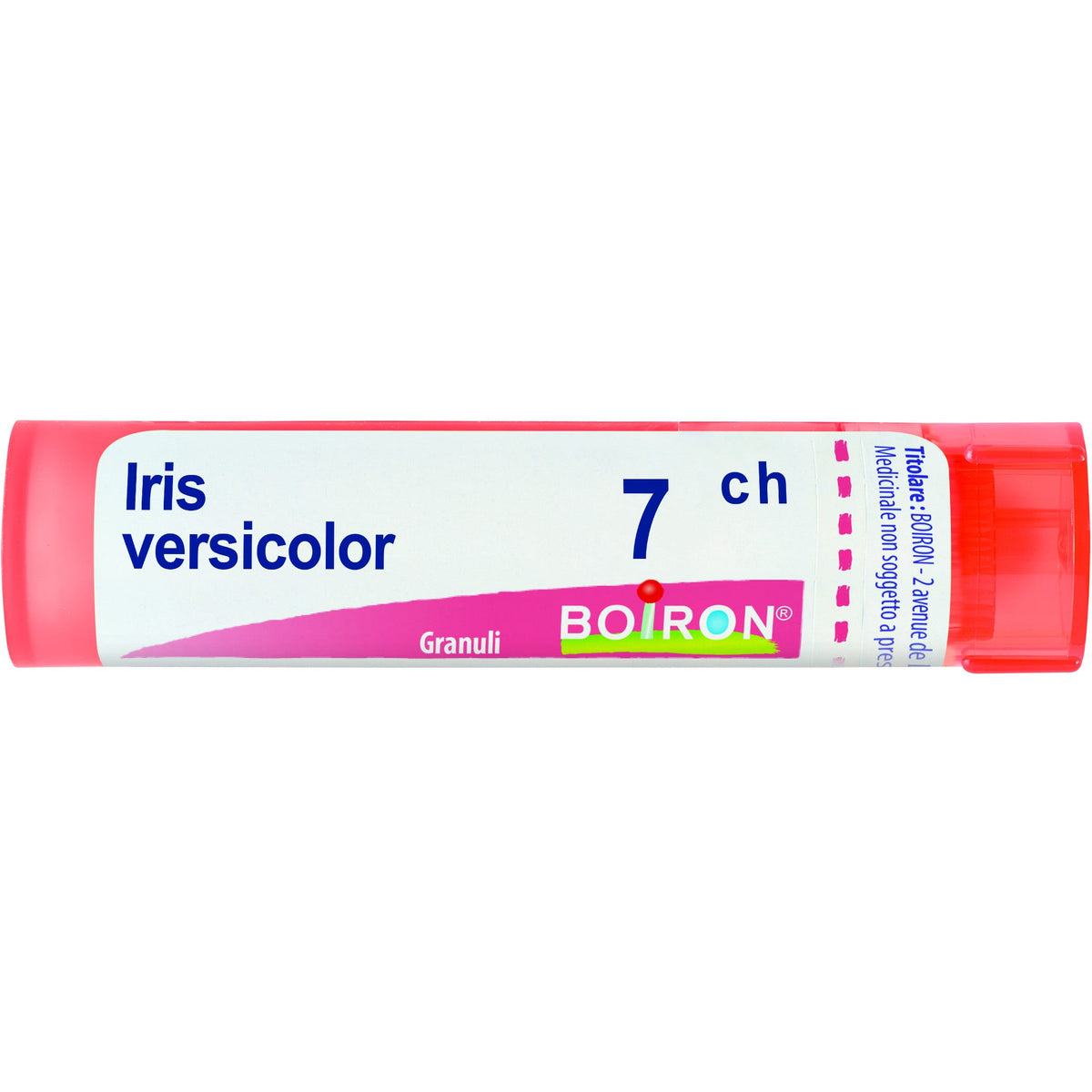 Iris versic boi 7ch 80gr 4g