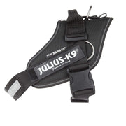 Juliusk9 idc pettxlxxl 82115ne