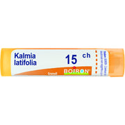 Kalmia latif boi 15ch 80gr 4g
