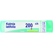 Kalmia latif boi 200ch 80gr 4g