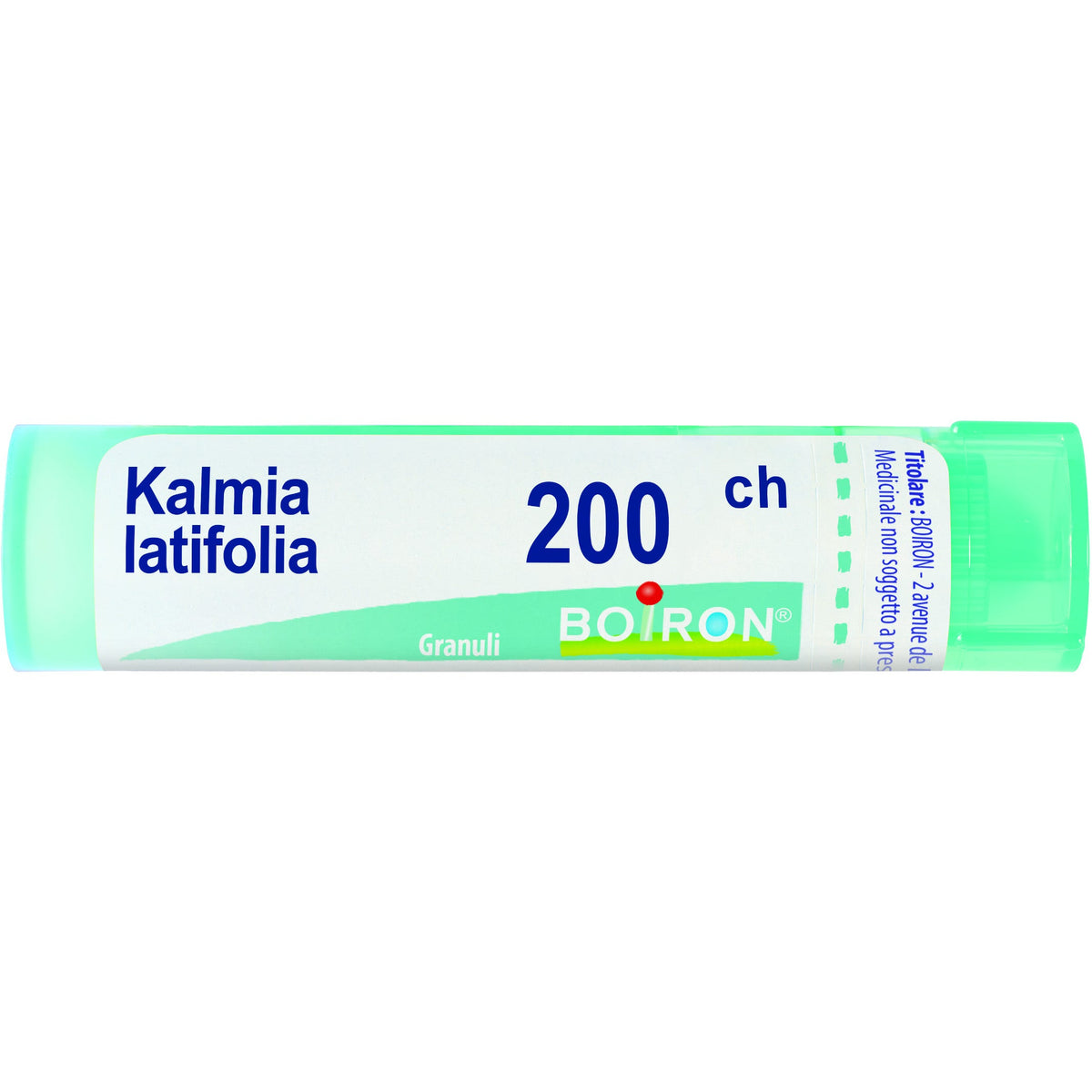 Kalmia latif boi 200ch 80gr 4g