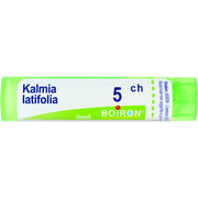 Kalmia latif boi 5ch 80gr 4g