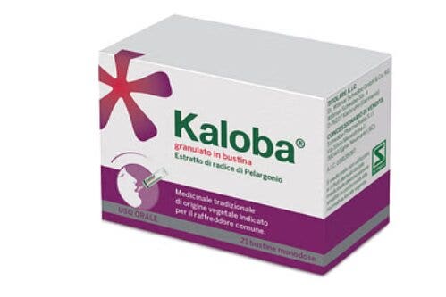 Kaloba granulato 800mg 21 bustine