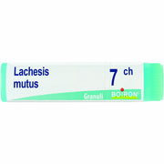 Lachesis mutus 7ch globuli