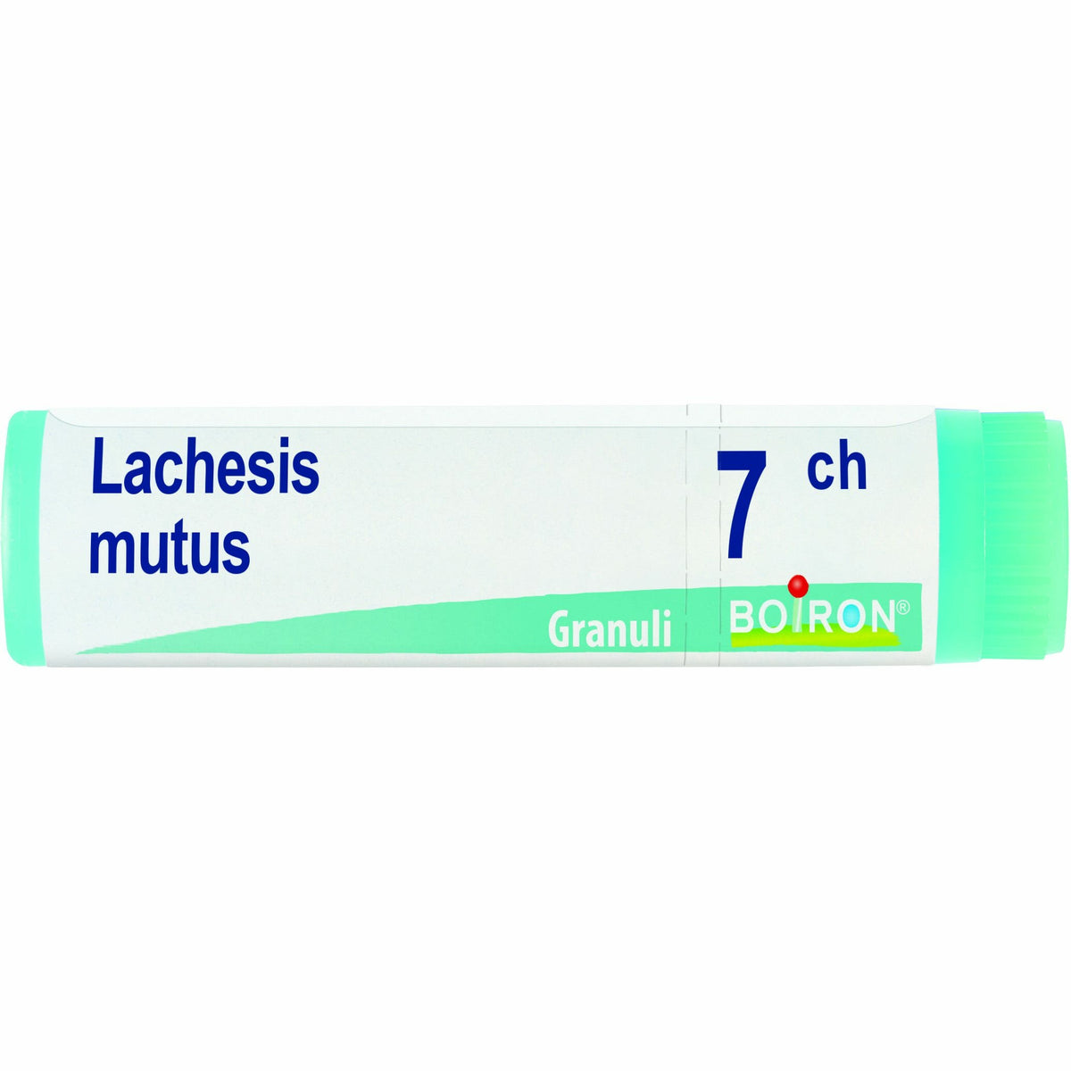 Lachesis mutus 7ch globuli