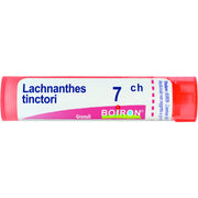 Lachnanthes t boi 7ch 80gr