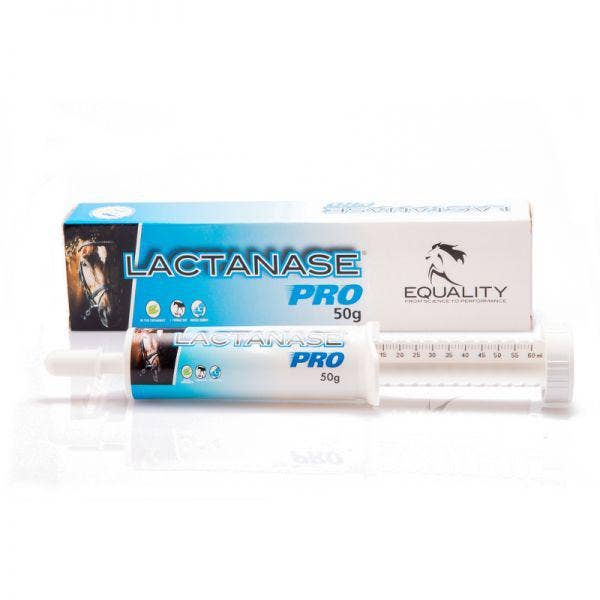 Lactanase pro siringa pasta os 50g