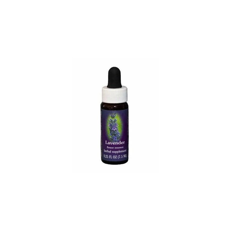 Lavender ess 7,4ml calf
