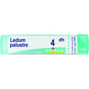 Ledum palust 4dh gr