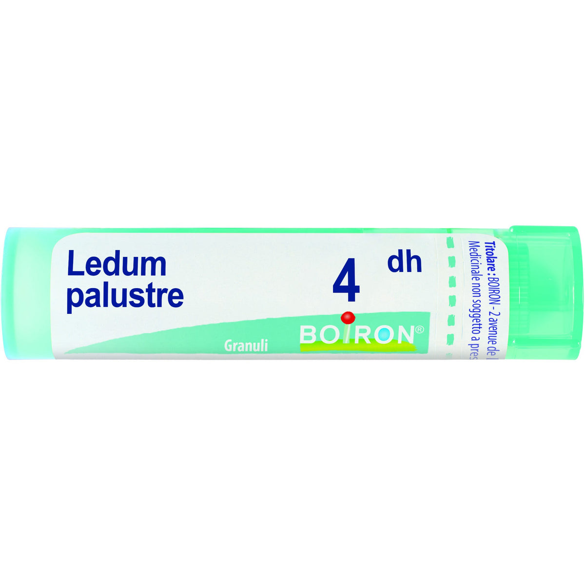Ledum palust 4dh gr