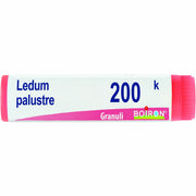 Ledum palustre 200k gl