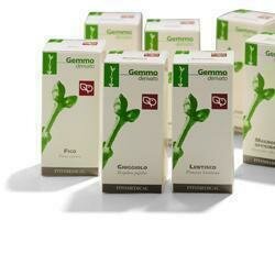 Lentisco 200ml mg