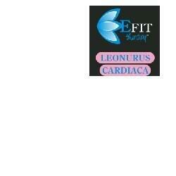 Leonurus cardiaca estratto fluido 30 ml