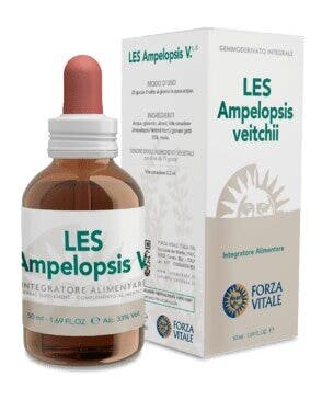 Les ampelopsis weitchii gocce