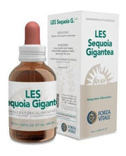 Les sequoia gigantea gocce50ml