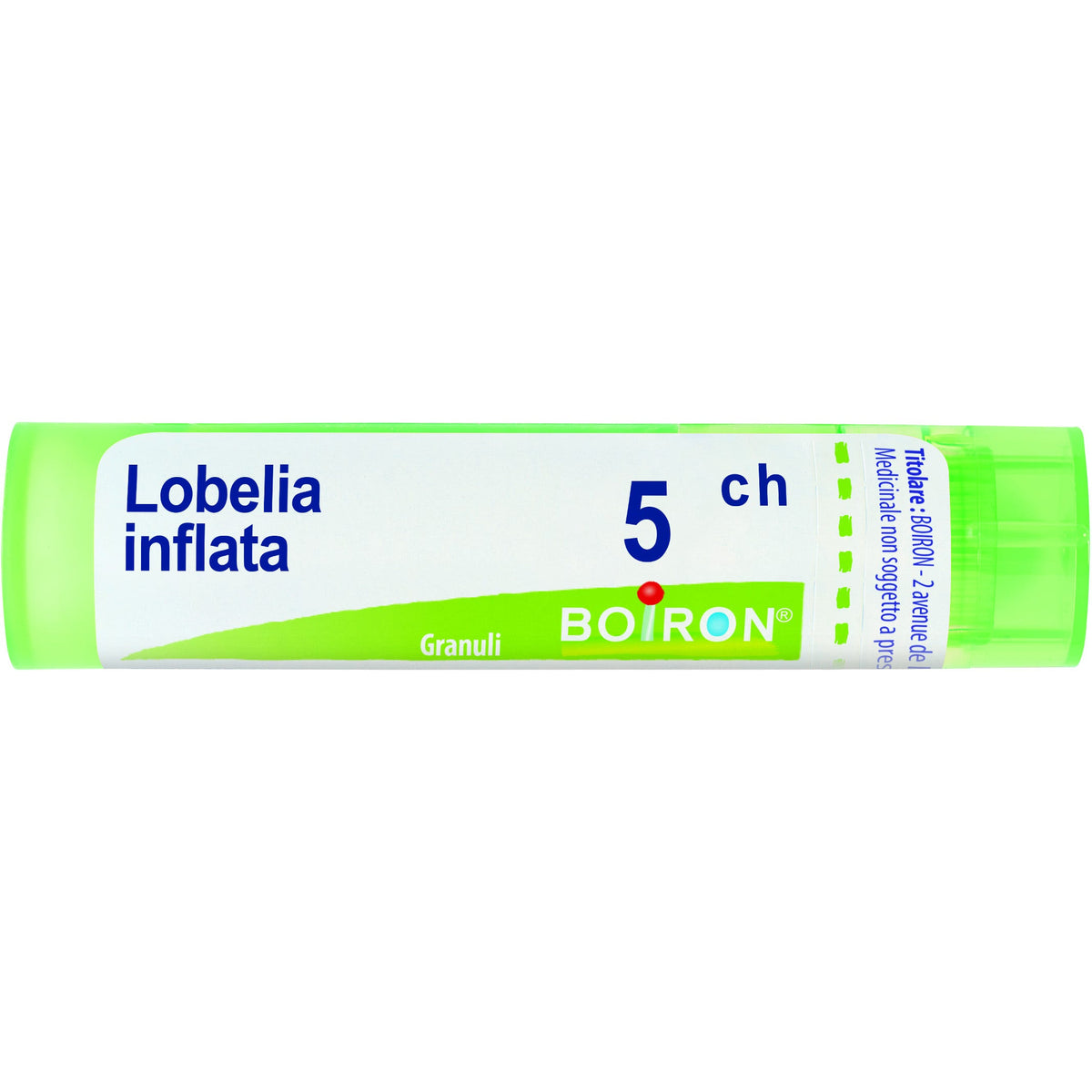 Lobelia infl boi 5ch 80gr 4g