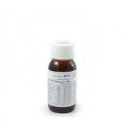 Lvs 20n carpinus betulus compositum