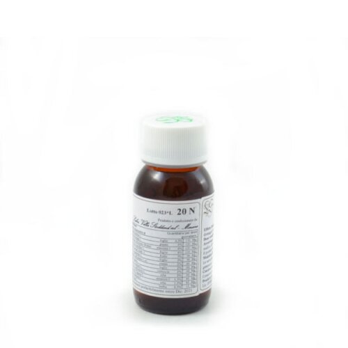 Lvs 20n carpinus betulus compositum