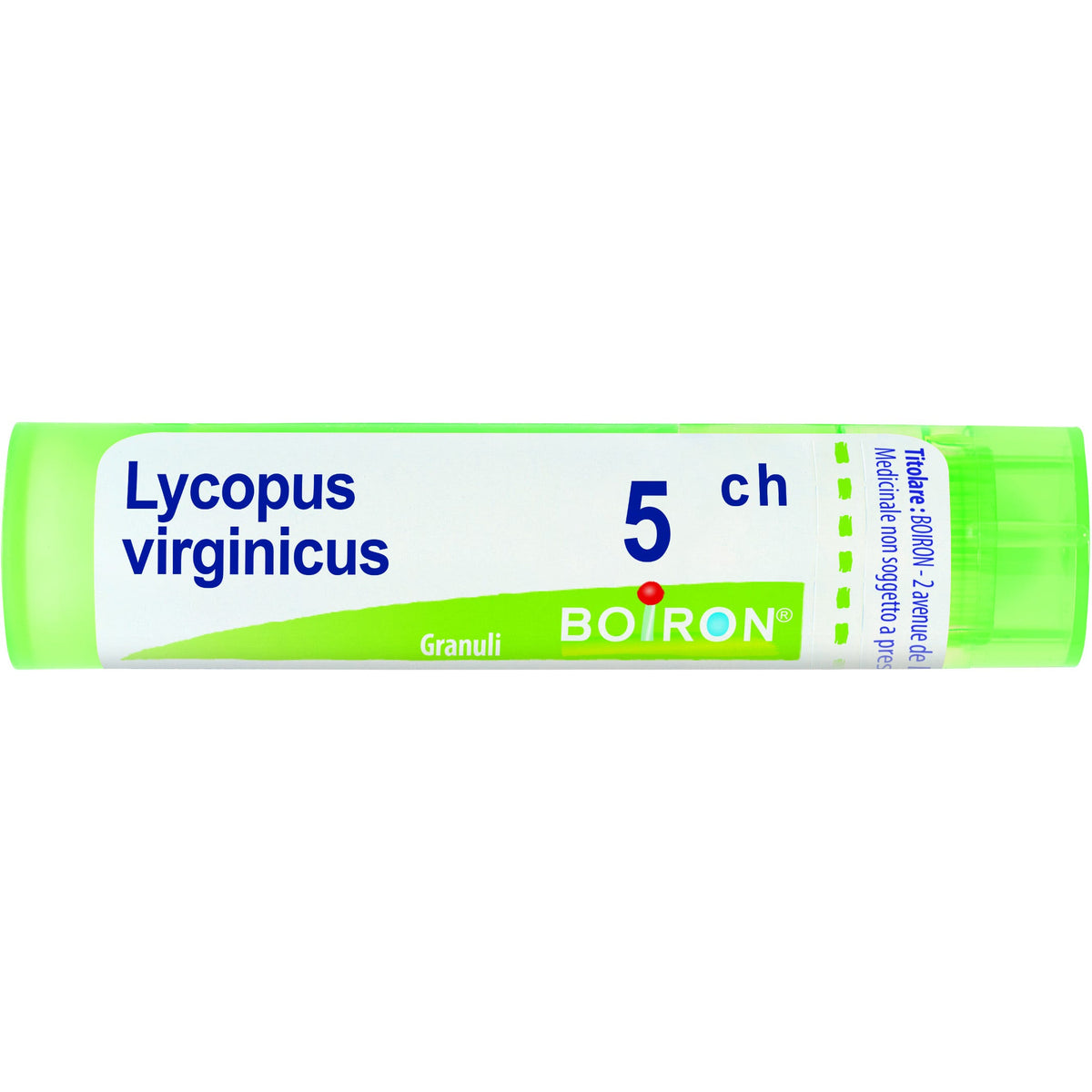 Lycopus boi 5ch 80gr 4g