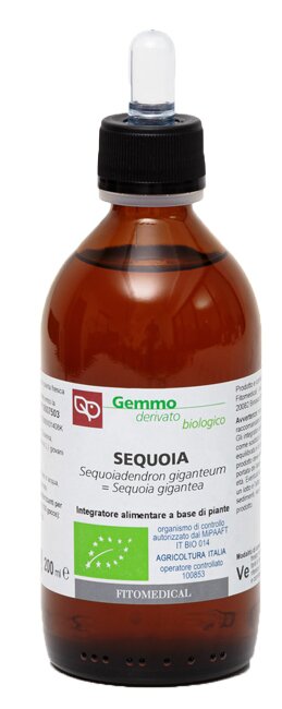 Macerato glicerinato sequoia bio 200 ml